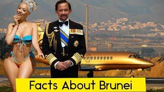 Top 10 Shocking Facts About Brunei You Probably Did't Know | Facts About Culture, People, Food etc |