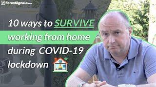 Top 10 Habits: Work from Home during Covid-19 Lockdown! 30+ Years Forex Veteran Reveals his Routine!