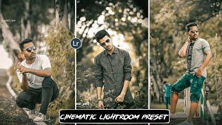 Cinematic - Look Lightroom Preset 