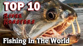 TOP 10 RIVER MONSTERS In The World