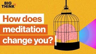 How meditation can change your life and mind | Sam Harris, Jon Kabat-Zinn & more | Big Think