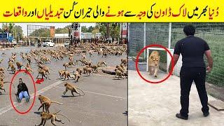 Lockdown Ki Waja Se Dunya Main Hone Wali Heran Kun Tabdeelian | Effect of Lockdown