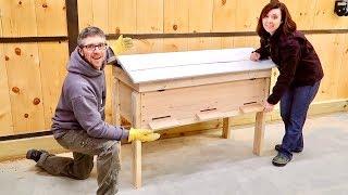 Most Unusual way We've BUILT a BEEHIVE BEFORE Getting OUR BackYard READY for 20,000 BEEs