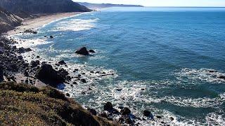 Top rated Tourist Attractions in Arcata, United States | 2020