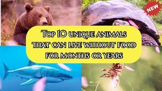 10 most unique animals that can live without food for years