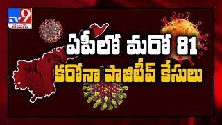 AP reported 81 new corona positive cases, number rise to 1097 - TV9