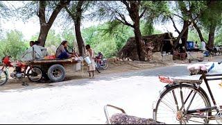 PAKISTANI VILLAGE LIFE 2020