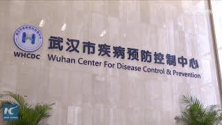 China's Wuhan reports 17 new pneumonia cases