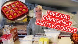 QUARANTINE Kitchen | HOW To FREEZE BREAD, EGGS, FLOUR, MILK, RICE, OATMEAL, CHEESE, BUTTER - LOTS!