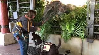 Service dog meets raptor from Jurassic Park