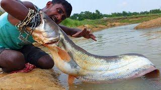 Unbelievable Fishing Technique. Underground 30kg Big Monster Catching River Hole.Top 10 Fish Video