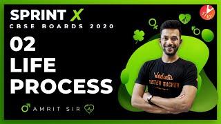 Life Processes Sprint X 2020 L2 | CBSE Class 10 Science (Biology) Chapter 6 | NCERT | Vedantu