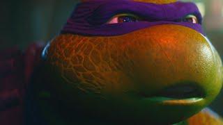 Donatello | Direct Line