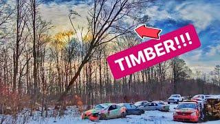 Dropping A TREE On A CAR! DESTROYED!