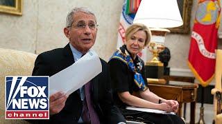 What to expect from Dr. Fauci's upcoming Senate testimony