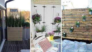 10 DIY Backyard Privacy Screen Ideas