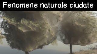 Top 10 Cele Mai Ciudate Fenomene Naturale