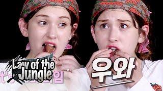 The Parboiled Coconut Octopus is Ready! So Mi "It's so good!" [Law of the Jungle Ep 396]