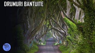 Top 10 Drumuri Bantuite si Povestile Lor