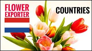 Top 10 World's Flower Exporter Countries | Flower  Producing | Simple Hut TV