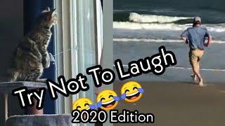 New Top Funny Videos 2020 