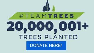 Live Tree Planting Counter - TeamTrees [20 Million and Beyond!]