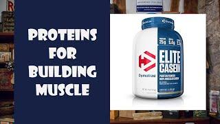 TOP 5 - Best proteins for building muscle in 2020 - The Best For The Money