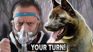 Top 10 Dog Breeds To SURVIVE THE APOCALYPSE With! SUBSCRIBERS TURN!