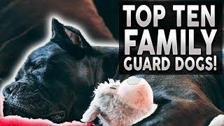 Top 10 FAMILY Guard Dog Breeds 2020!