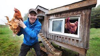 REPOING Beautiful $2500 Chicken Coop (for FREE) for the Off Grid Cabin! | Building Brooder Chick Box