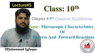 Microscopic Characteristics of Reverse And Forward Reactions in Pashto |10th Chem||Chemistry Unseen|