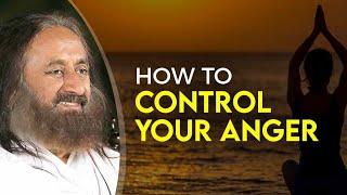 How To Control Your Anger | Lessons On Anger Management By Gurudev Sri Sri Ravi Shankar