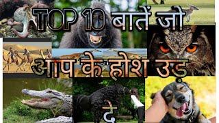 Top 10 questions for VET PAPER || Top General Knowledge