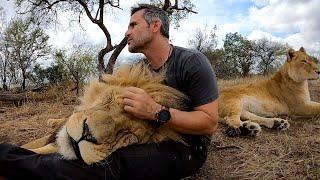 2019 Year In Review | The Lion Whisperer