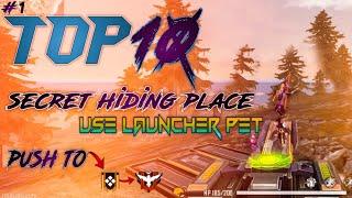 Top 10 Secret Hiding Place In Use Launcher Pet  1 Bonus Trick.....