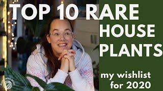 TOP 10 rare WISHLIST house plants | Plant Show 3 with Roos