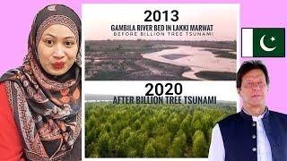 Imran Khan's Billion Tree Tsunami | Malaysian Girl Reactions