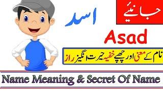 Asad Name Meaning In Urdu (Boy Name اسد)