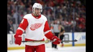 Detroit Redwings Top 10 moments. Number 7