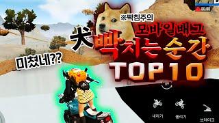 ※빡침주의) 모바일배그 犬 빡치는순간들