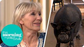 I Swapped My Husband for a Pig | This Morning