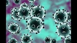 The Effect of Coronavirus on the World :- A Global Problem