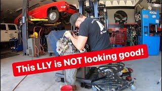 LLY Duramax Engine Top End Tear Down * Damage Assessment*