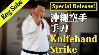 Very dangerous technique "SHUTOU(Knife-hand strike)" ｜実はとても危険な技「手刀」｜八木一平  Ippei Yagi｜剛柔流 gojyu-ryu｜