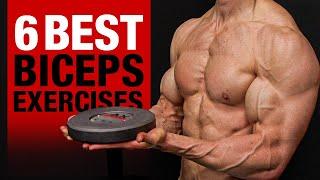 6 BEST Biceps Exercises (DON’T SKIP THESE!!)