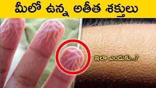 VERY INTERESTING & UNKNOWN FACTS | TELUGU FACTS | Mr raja rpf