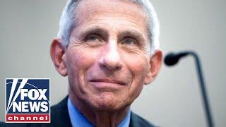 Live: Dr. Fauci testifies before Senate on coronavirus response