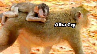 Alba Stay On Back And Cry So Sad Life | Alba Try Clean Her Tear By Herself