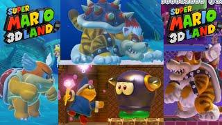 3D World Bosses In Super Mario Maker 2 With Different Settings