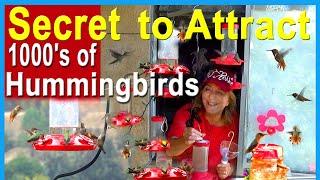 How to Attract Hummingbirds, Solar Fountains, Flowers, Hanging Feeders, DIY Nectar Recipe, Ants Bees